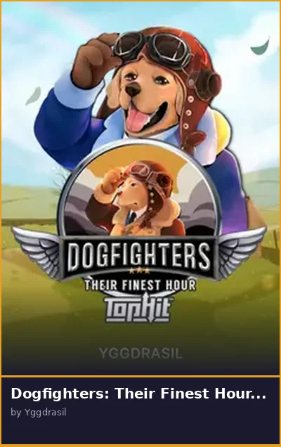 Dogfighters  Their Finest Hour TopHit slot